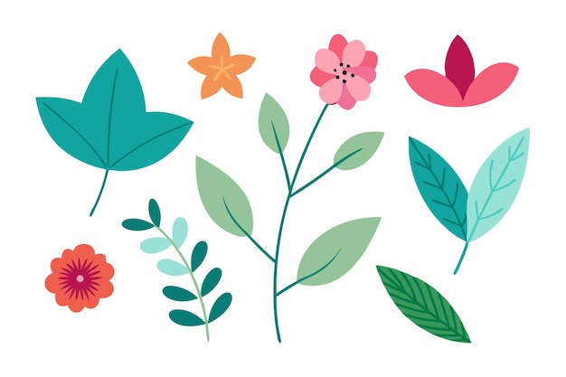 Ilustração vetorial de conjunto botânico de folhas e flores