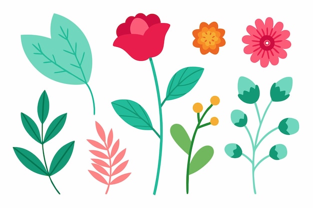Ilustração vetorial de conjunto botânico de folhas e flores