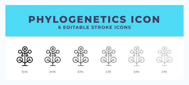 Ilustração vetorial de conjunto de ícones de filogenética