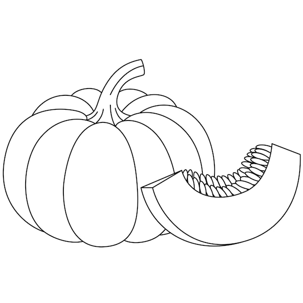 Ilustração vetorial de contorno de abóbora isolada em fundo branco