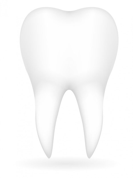 Ilustração vetorial de dente