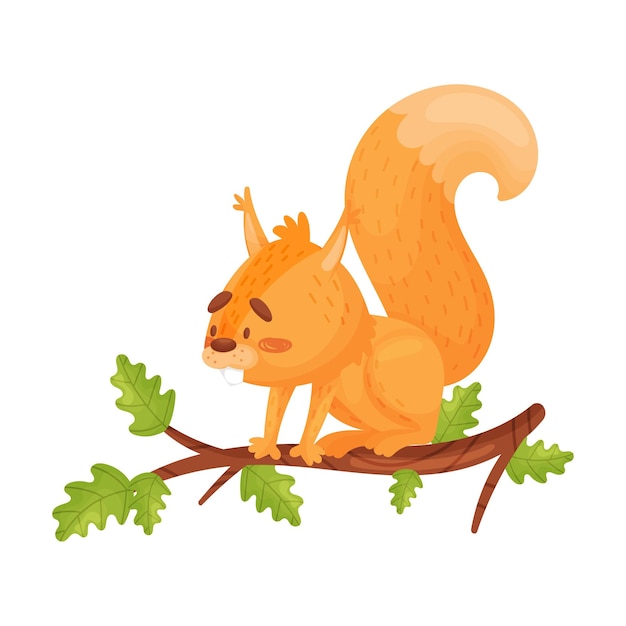 ilustração vetorial de desenho animado de um adorável esquilo vermelho sentado em um ramo de carvalho Pequeno roedor florestal com cauda fofa e focinho bonito isolado em fundo branco