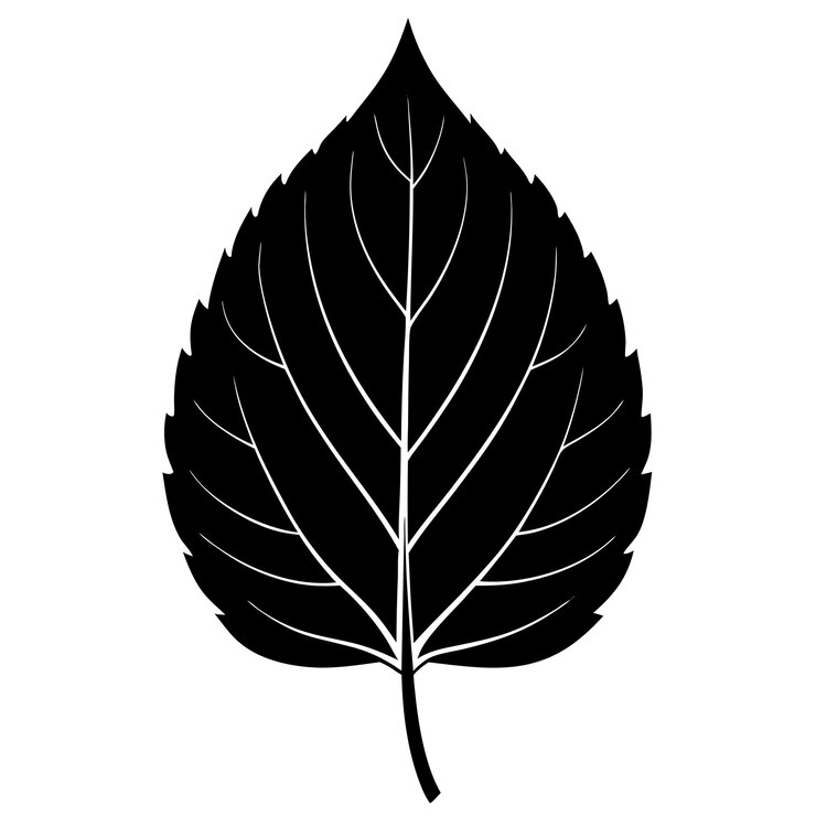 Vetor ilustração vetorial de desenho de linha de silhueta de folha elegante com design minimalista perfeita para botânica
