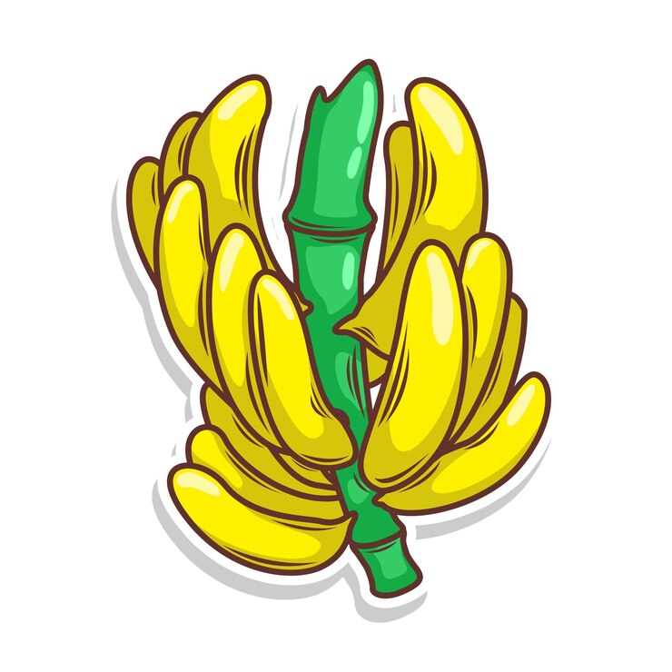 Vetor ilustração vetorial de desenho manual de banana