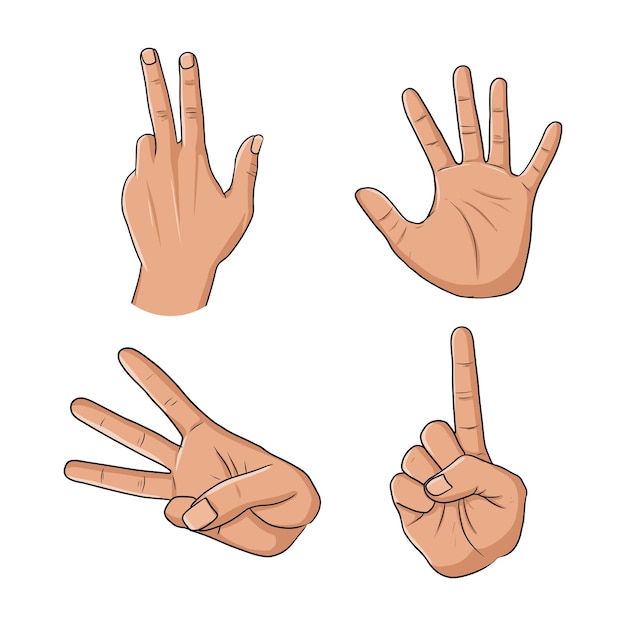 Vetor ilustração vetorial de diferentes gestos manuais