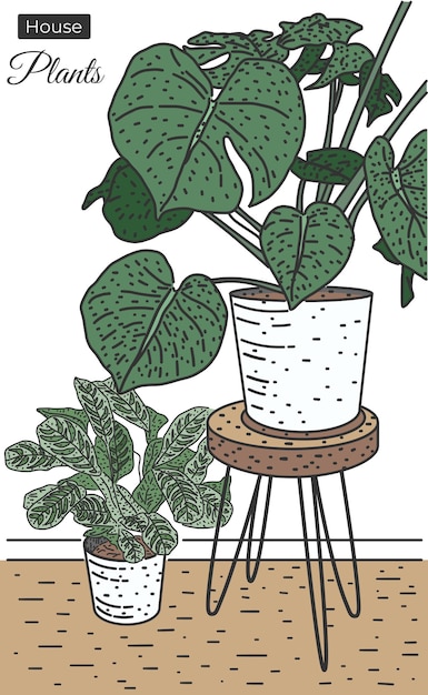 Vetor ilustração vetorial de esboço de plantas domésticas em estilo colorido