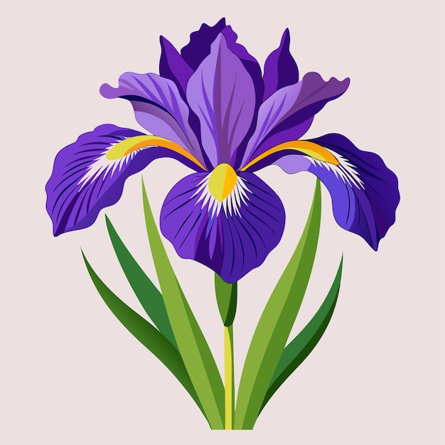 Ilustração vetorial de estilo desenho animado de clipart de flor de íris