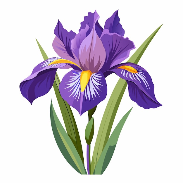 Ilustração vetorial de estilo desenho animado de clipart de flor de íris
