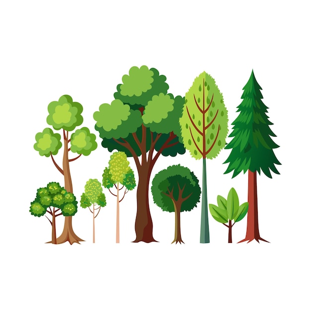 Ilustração vetorial de estilo plano de uma coleção de árvores