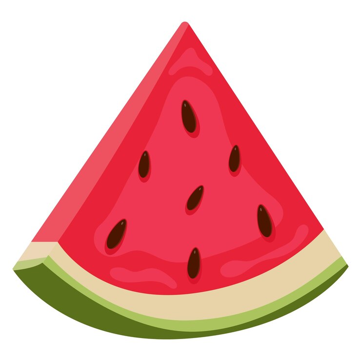 Ilustração vetorial de fatia de fruta tropical de melancia