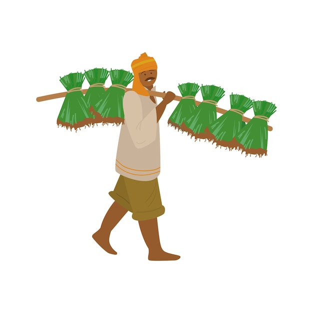 Ilustração vetorial de fazendeiro indiano em turbante carregando plantas de arroz para o plantio