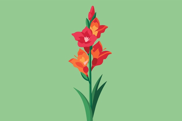 Vetor ilustração vetorial de flor de gladiola vermelha em fundo verde