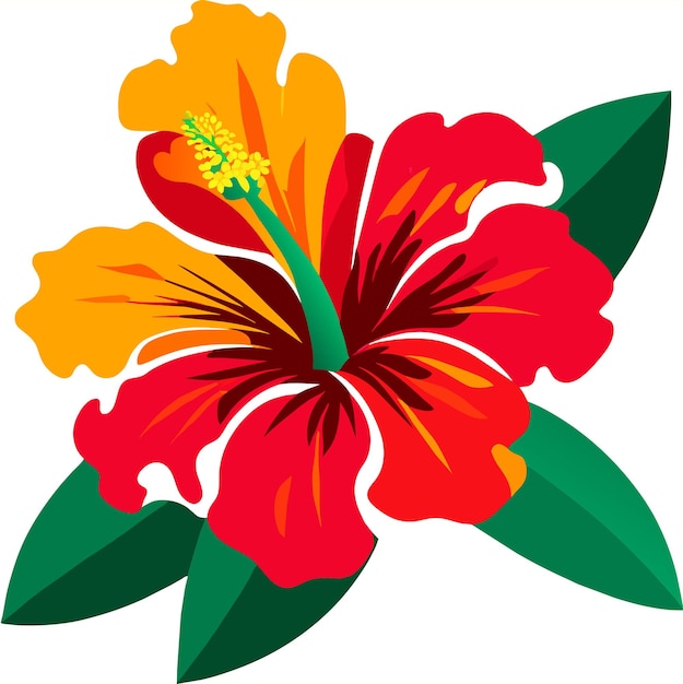 Ilustração vetorial de flor de hibisco ou hibiscus rosa