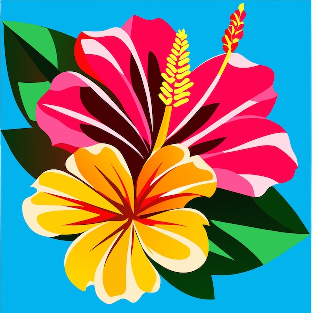 Vetor ilustração vetorial de flor de hibisco ou hibiscus rosa