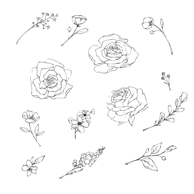 Ilustração vetorial de flores e folhas em estilo handdraw doodle