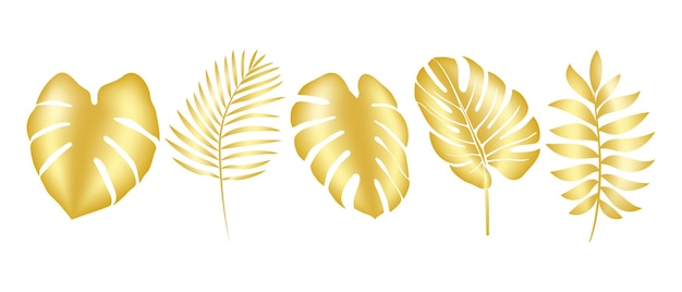 Ilustração vetorial de folhas de palmeira tropicais exuberantes em folha tropical dourada dourada para embalagem de cosméticos perfumes cartões postais convite para o casamento cobre turismo patch impressão decoração de casa