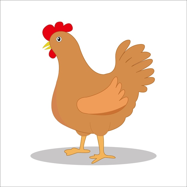 Ilustração vetorial de frango