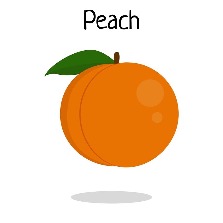 Vetor ilustração vetorial de frutas de pêssego