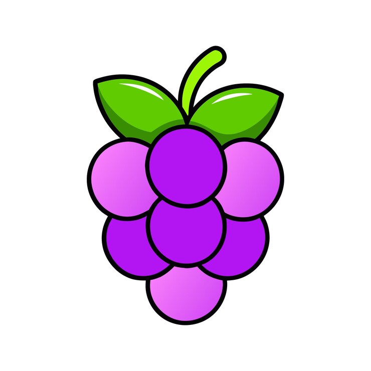 Vetor ilustração vetorial de frutas de uvas roxas
