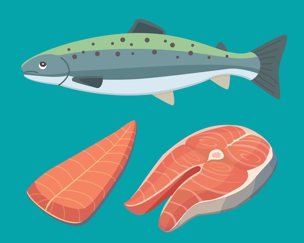 Vetor ilustração vetorial de frutos do mar de peixe salmão