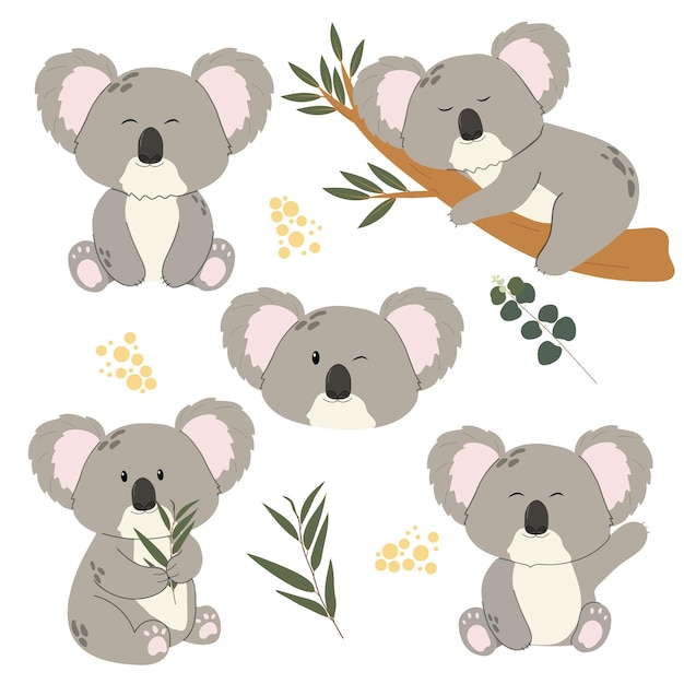 Ilustração vetorial de fundo branco de koala infantil isolado em estilo plano