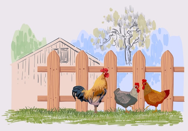 Ilustração vetorial de fundo de galinha de fazenda e galinha de galinha em paisagem Colheita agrícola