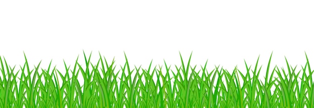 ilustração vetorial de fundo de grama verde