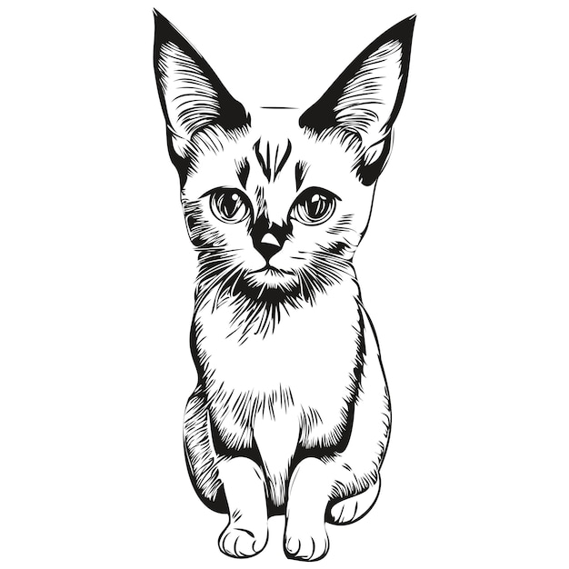 uma Preto e branco desenhando do uma gato com uma arco gravata. 24257221  Vetor no Vecteezy