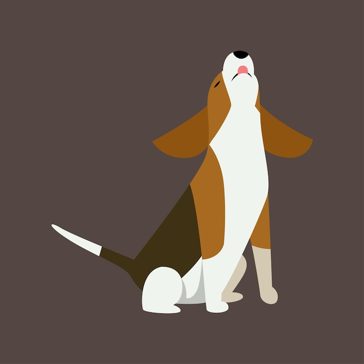 Vetor ilustração vetorial de jack russell terrier em várias poses