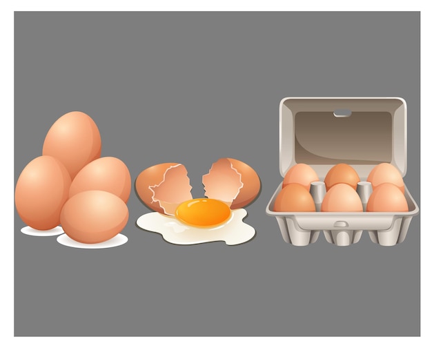 Ilustração vetorial de ovos em caixa de cartão e ovos rachados