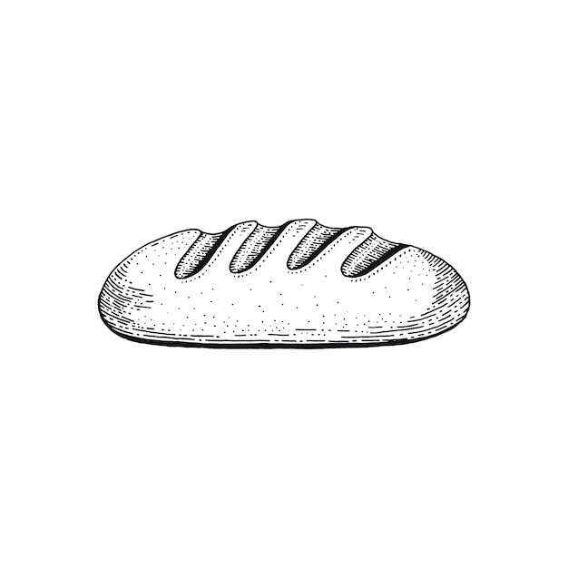 Vetor ilustração vetorial de pão de cereais de trigo desenhado à mão conceito de padaria esboçado desenho de arte de linha preta