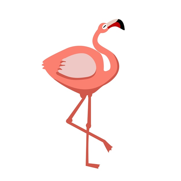 Ilustração vetorial de pássaro flamingo rosa