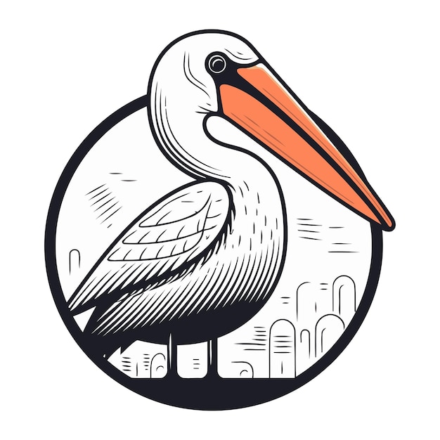 Ilustração vetorial de pelicano em estilo vintage isolada em fundo branco