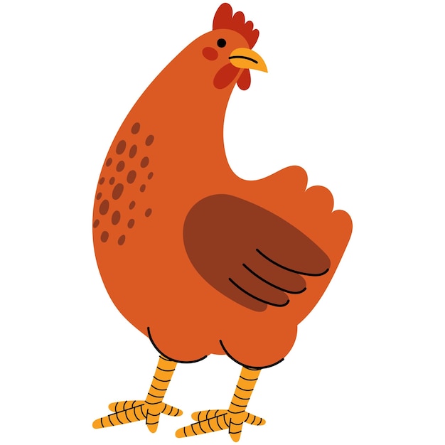 Ilustração vetorial de personagens de galinhas pássaro de quinta conceito de alimentos ecológicos orgânicos de Páscoa