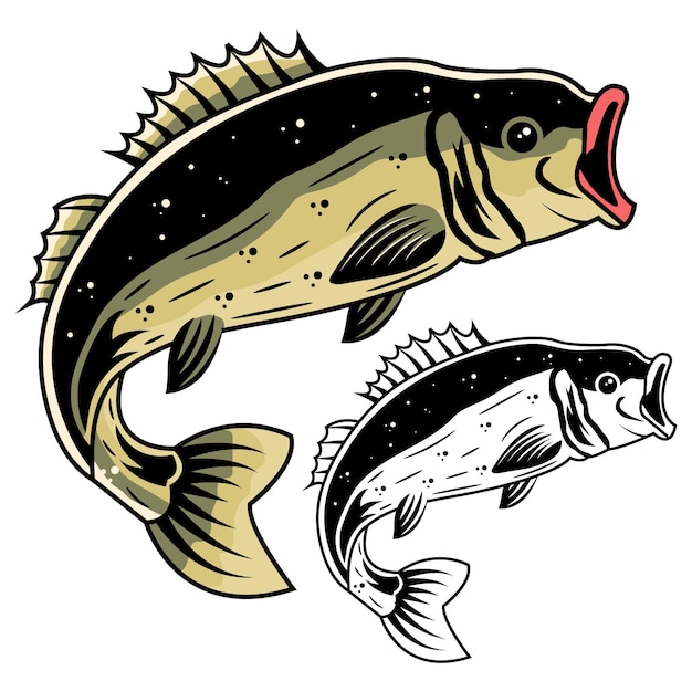 Ilustração vetorial de pesca de robalo