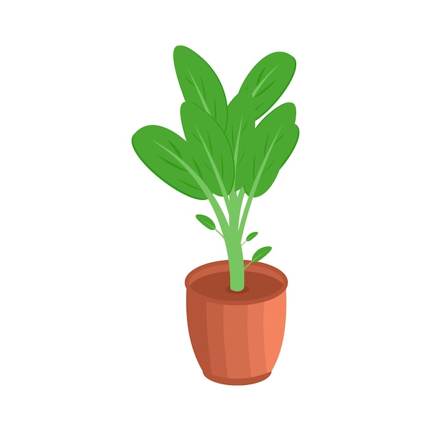 Ilustração vetorial de plantas domésticas isométricas