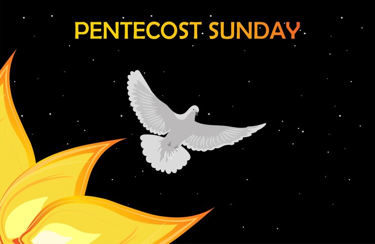 Vetor ilustração vetorial de pomba para o domingo de pentecostes com belo design criativo. dons do espírito santo.