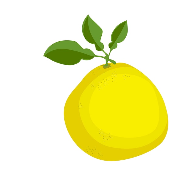 Ilustração vetorial de pomelo em estilo de desenho animado Fruto Shaddock com casca amarela Citrus maxima clip art