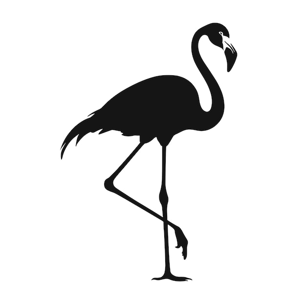 Ilustração vetorial de silhueta de flamingo.