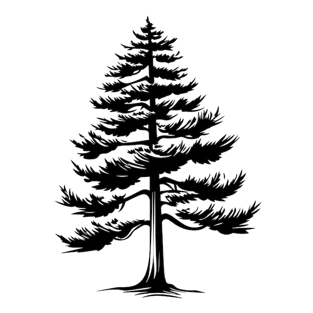 Vetor ilustração vetorial de silhueta de pinheiro icon e sinal
