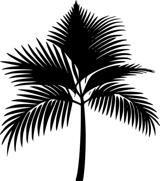 Vetor ilustração vetorial de silhueta minimalista e simples de palma