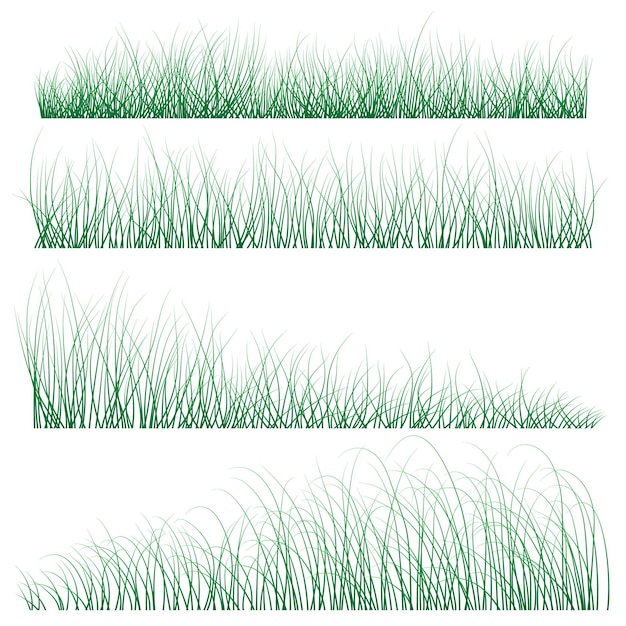 Ilustração vetorial de um conjunto de fotos de grama com diferentes inclinações do caule sketch