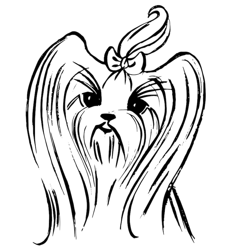 Vetor ilustração vetorial de um esboço de um doga yorkshire terrier desenho gráfico por linha de desenho à mão