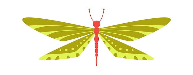 Vetor ilustração vetorial de um inseto borboleta colorido