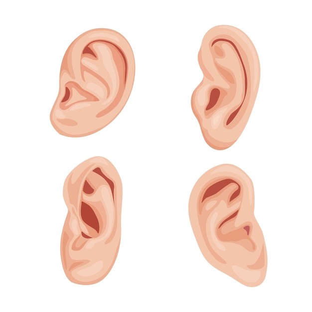 Ilustração vetorial de uma orelha em fundo branco