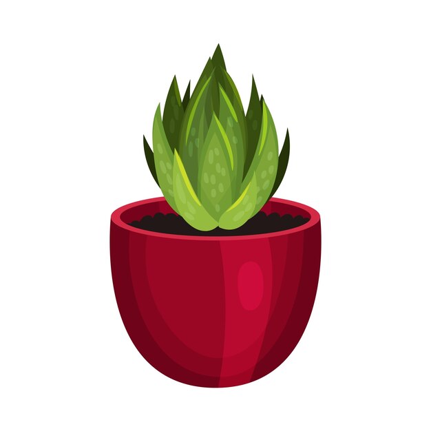 Vetor ilustração vetorial de uma planta de casa com folhas pontiagudas que cresce em vaso