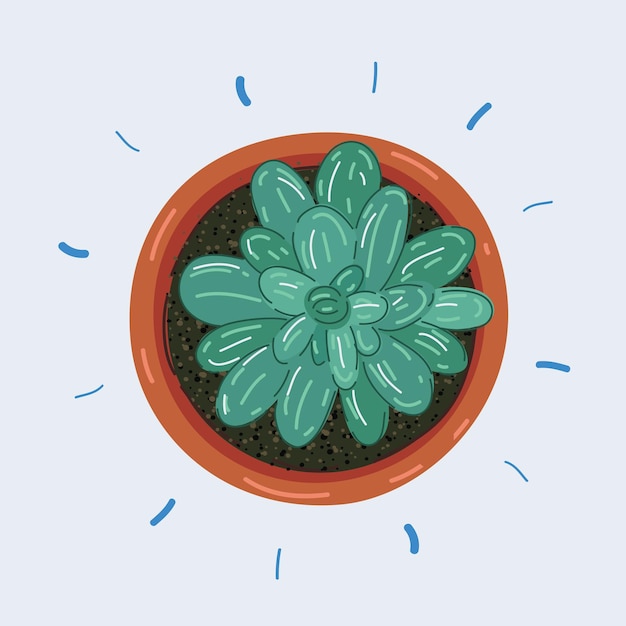 Ilustração vetorial de uma planta em um vaso Vista superior em branco