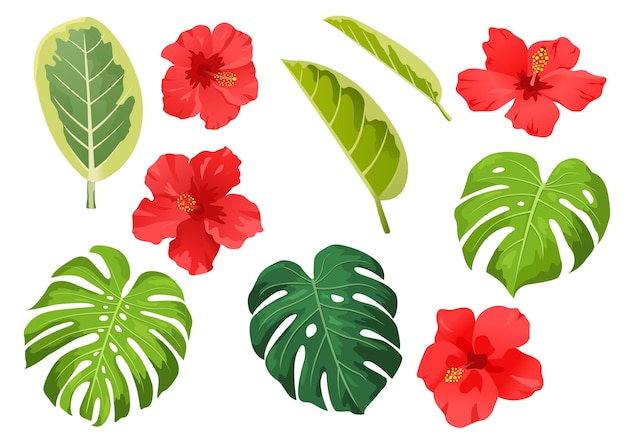 Vetor ilustração vetorial de verão de plantas tropicais