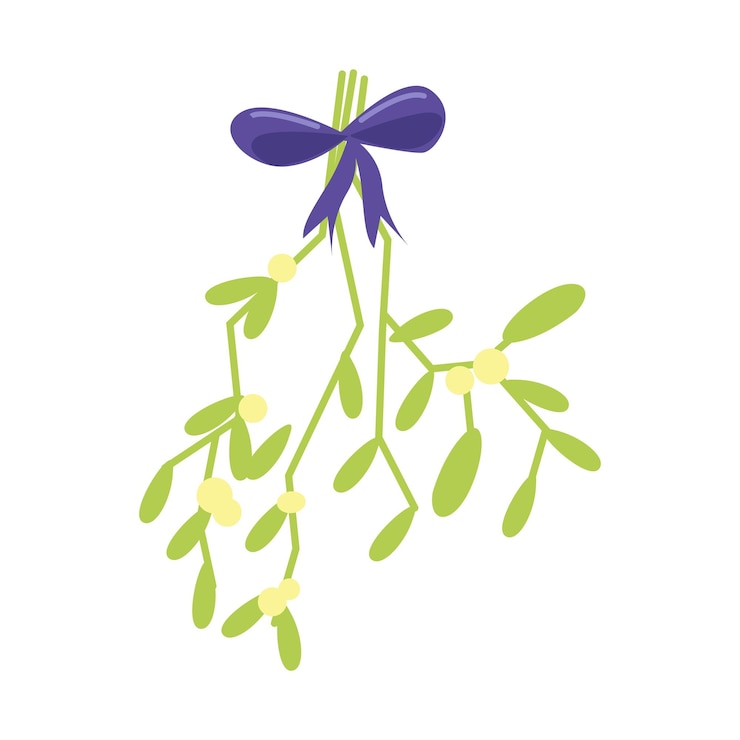Vetor ilustração vetorial de visco de ramos de visco pendurados com bagas e arco violeta isolados