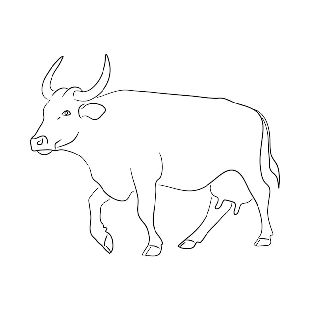 Vetor ilustração vetorial desenhada à mão de esboço de vaca